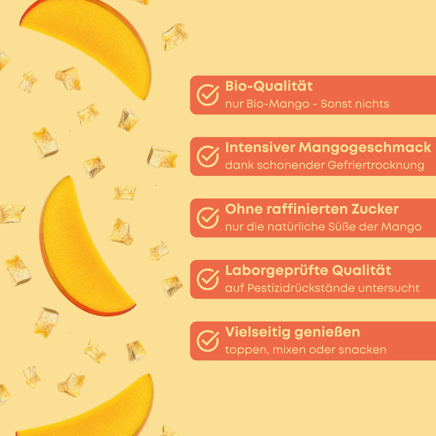 Gefriergetrocknete Bio Mango - Mango Bits 100 g