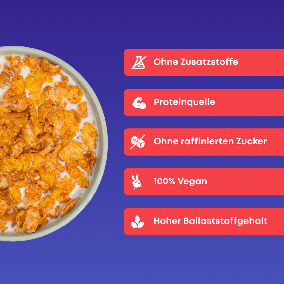 Beschreibung Space Flakes Cereals