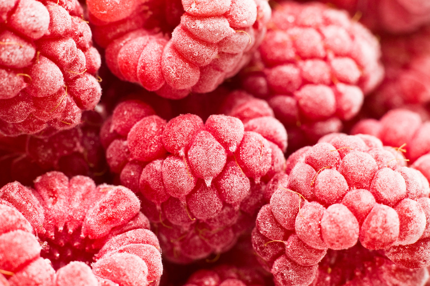 Schockfrosten von Lebensmitteln: So bleiben Vitamine erhalten