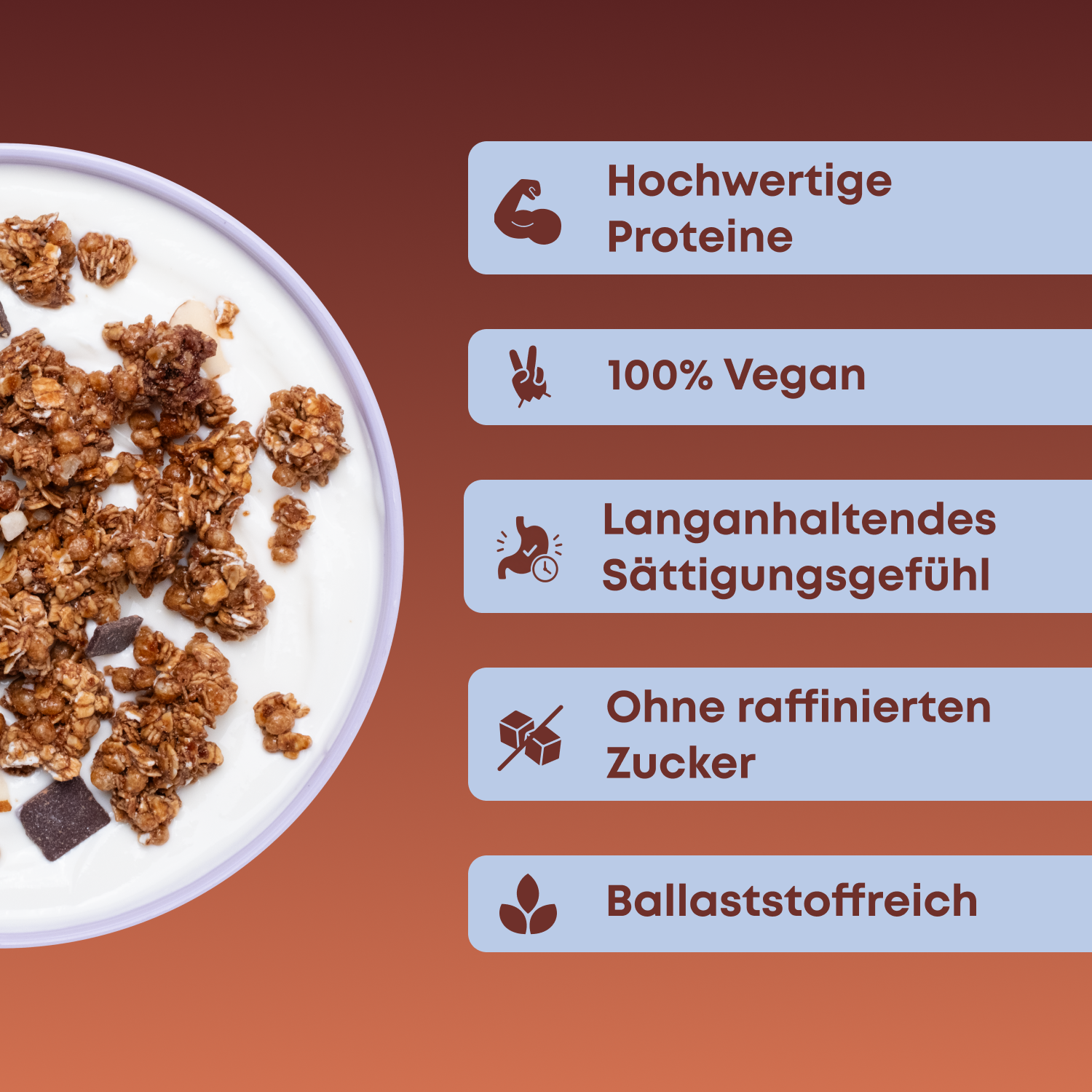 Protein Granola - Chocolate Chip Almond