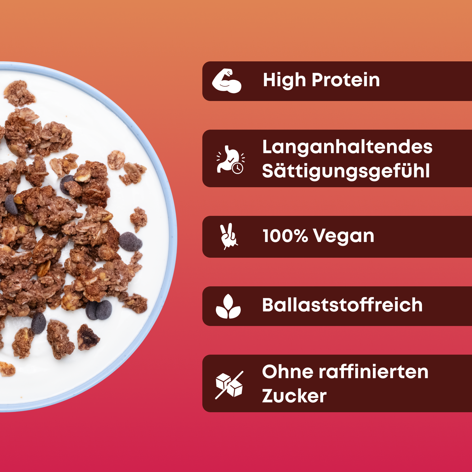Protein Granola - Chocolate Brownie