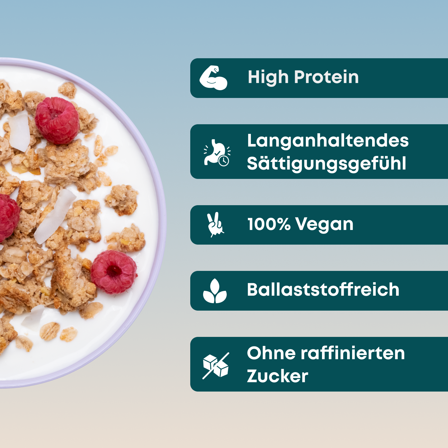 Protein Granola - Coconut Crunch