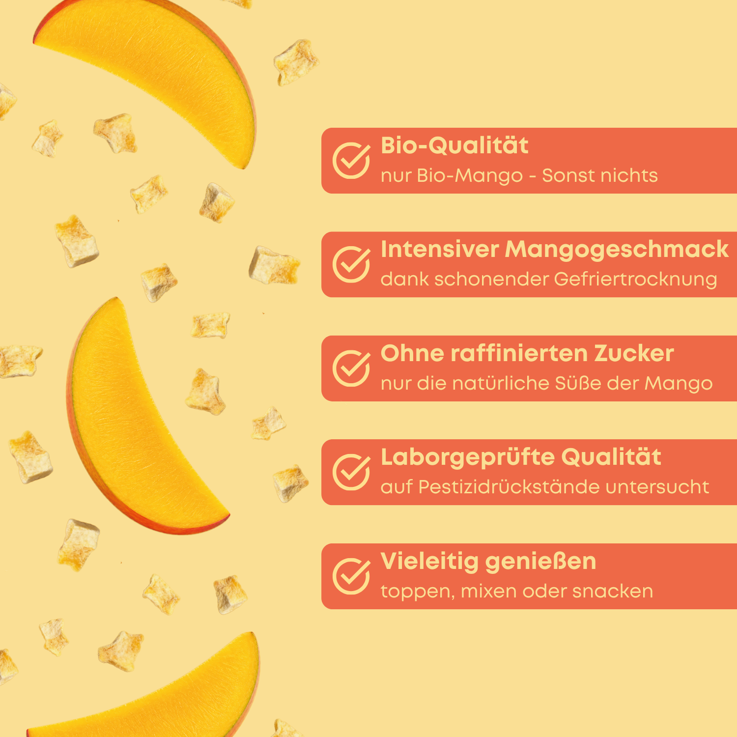 Gefriergetrocknete Bio Mango - Mango Bits 100 g
