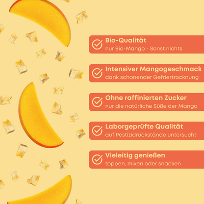 Gefriergetrocknete Bio Mango - Mango Bits 100 g